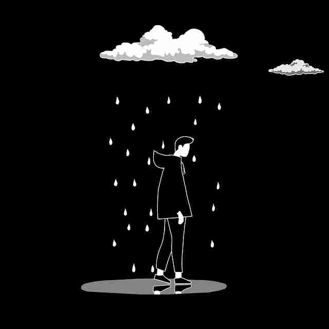 【蘑菇视频电脑版】梦幻全景记录探索 - 视角升级,梦幻蘑菇小屋